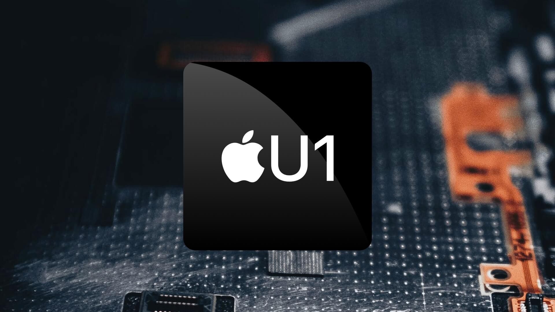 Image of Apple U1 chip